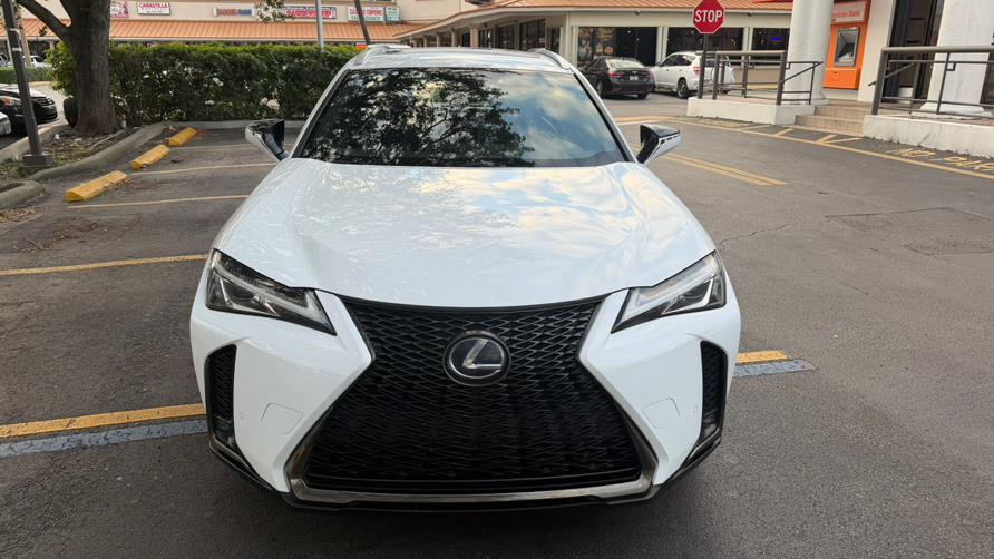 2019 Lexus UX Hybrid