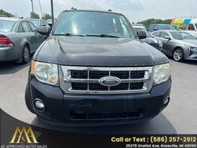 2010 Ford Escape