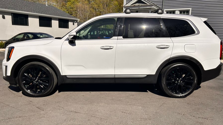 2020 Kia Telluride SX AWD's photo