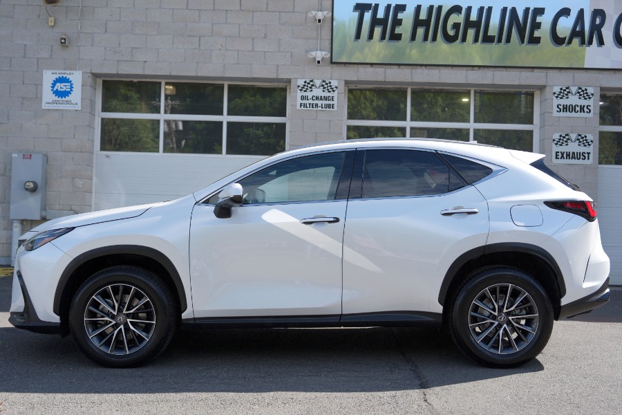 2024 Lexus NX 350 350 AWD's photo