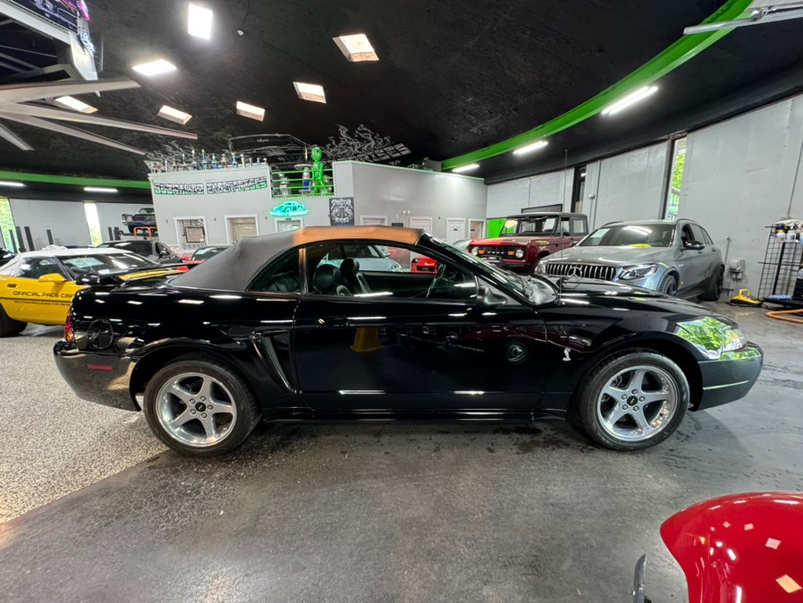 2001 Ford Mustang Cobra SVT's photo